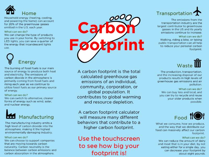 carbon footprint essay titles